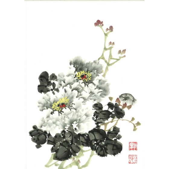 guoquanhai-20241107