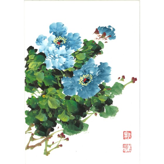 guoquanhai-20241107