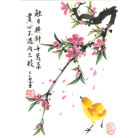shaosanshi-20250427