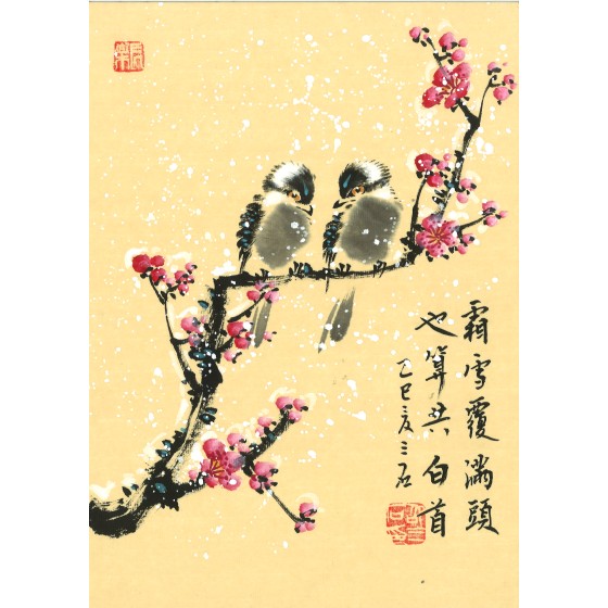 shaosanshi-20250515